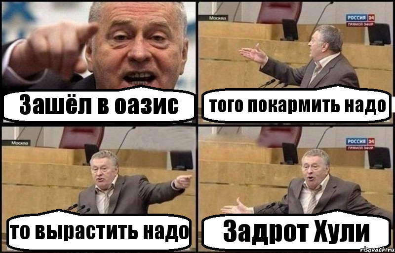 Зашёл в оазис того покармить надо то вырастить надо Задрот Хули, Комикс Жириновский