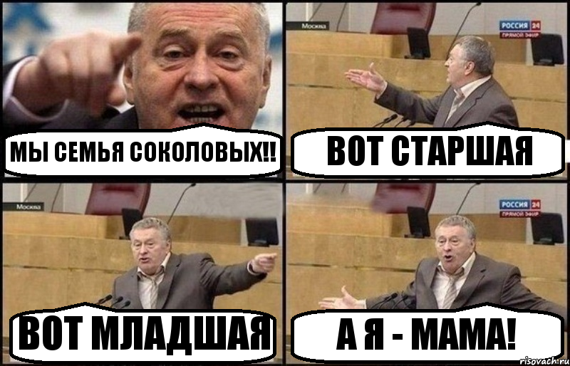 МЫ СЕМЬЯ СОКОЛОВЫХ!! ВОТ СТАРШАЯ ВОТ МЛАДШАЯ А Я - МАМА!, Комикс Жириновский