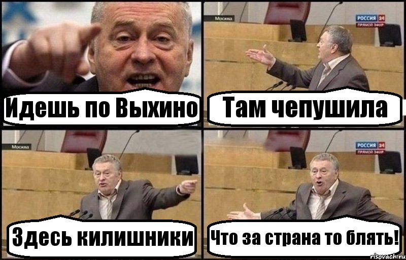 Идешь по Выхино Там чепушила Здесь килишники Что за страна то блять!, Комикс Жириновский