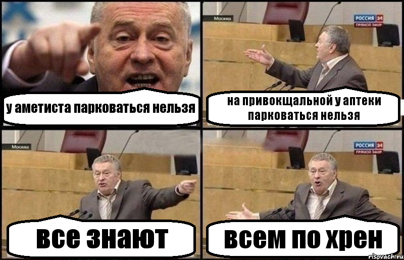 у аметиста парковаться нельзя на привокщальной у аптеки парковаться нельзя все знают всем по хрен, Комикс Жириновский