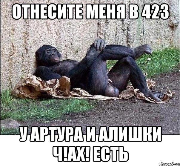 отнесите меня в 423 у артура и алишки ч!ах! есть, Мем а танцую я не очень