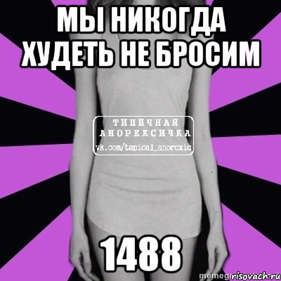 мы никогда худеть не бросим 1488