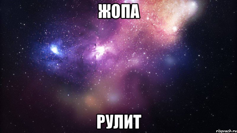 жопа рулит