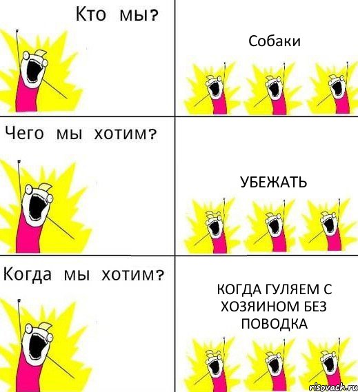 Собаки Убежать Когда гуляем с хозяином без поводка, Комикс Что мы хотим