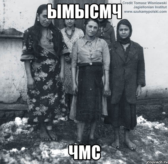 ымысмч чмс