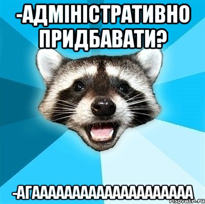 -адміністративно придбавати? -агаааааааааааааааааааа, Мем Енот-Каламбурист