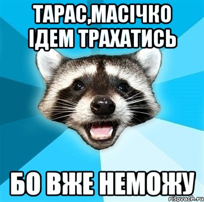 тарас,масічко ідем трахатись бо вже неможу, Мем Енот-Каламбурист