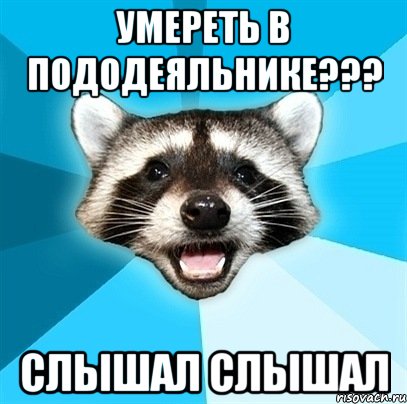 умереть в пододеяльнике??? слышал слышал, Мем Енот-Каламбурист