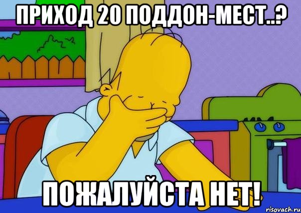 приход 20 поддон-мест..? пожалуйста нет!