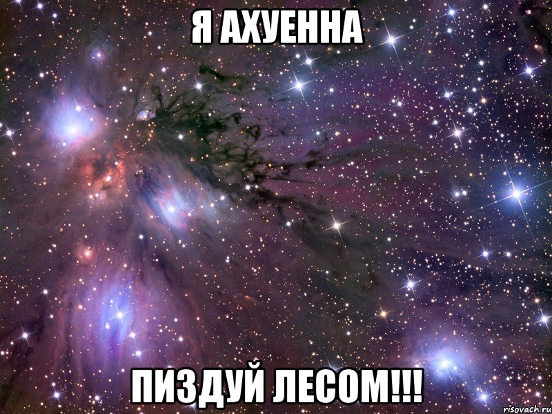 я ахуенна пиздуй лесом!!!, Мем Космос