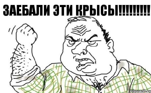 Заебали эти крысы!!!, Комикс Мужик блеать