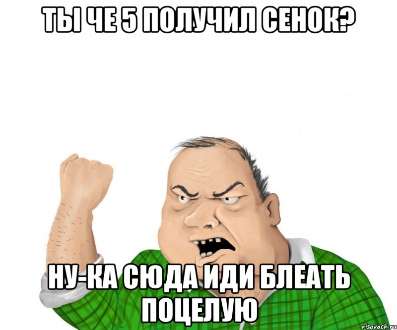 ты че 5 получил сенок? ну-ка сюда иди блеать поцелую, Мем мужик