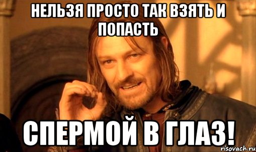 нельзя просто так взять и попасть спермой в глаз!, Мем Нельзя просто так взять и (Боромир мем)