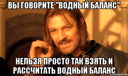 вы говорите "водный баланс" нельзя просто так взять и рассчитать водный баланс, Мем Нельзя просто так взять и (Боромир мем)