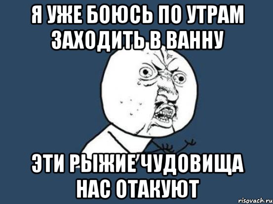 Утром зайдешь. Я уже боюсь. Уже боюсь. Уже боюсь картинки.