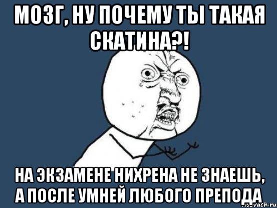 мозг, ну почему ты такая скатина?! на экзамене нихрена не знаешь, а после умней любого препода, Мем Ну почему