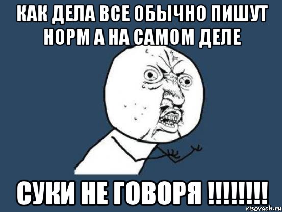 как дела все обычно пишут норм а на самом деле суки не говоря !!!, Мем Ну почему