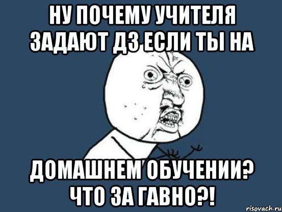 ну почему учителя задают дз если ты на домашнем обучении? что за гавно?!, Мем Ну почему