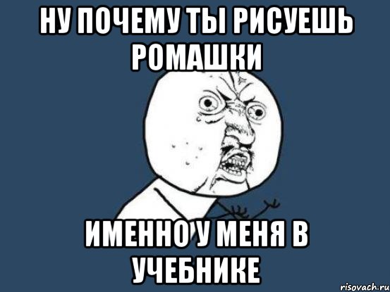 ну почему ты рисуешь ромашки именно у меня в учебнике, Мем Ну почему