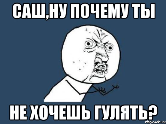 саш,ну почему ты не хочешь гулять?, Мем Ну почему