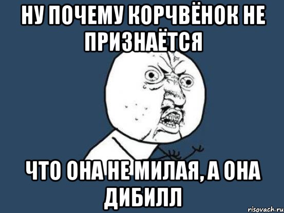 ну почему корчвёнок не признаётся что она не милая, а она дибилл, Мем Ну почему