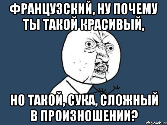 французский, ну почему ты такой красивый, но такой, сука, сложный в произношении?, Мем Ну почему