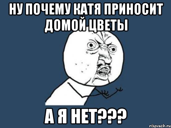 ну почему катя приносит домой цветы а я нет???, Мем Ну почему