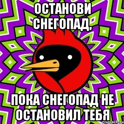 останови снегопад, пока снегопад не остановил тебя, Мем Омская птица