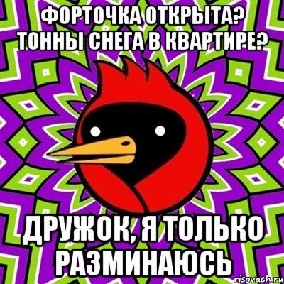 форточка открыта? тонны снега в квартире? дружок, я только разминаюсь, Мем Омская птица