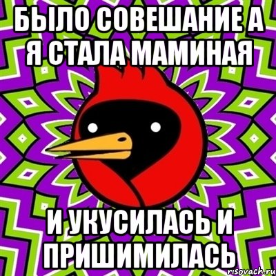 было совешание а я стала маминая и укусилась и пришимилась, Мем Омская птица