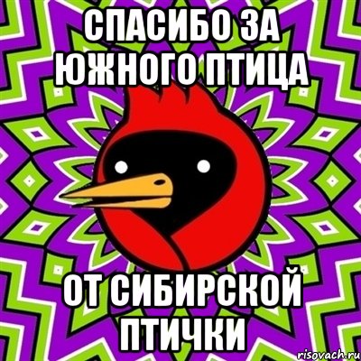 спасибо за южного птица от сибирской птички, Мем Омская птица