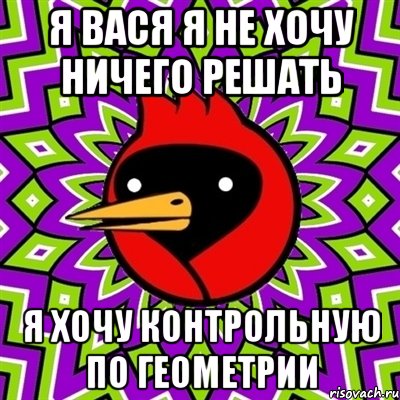 я вася я не хочу ничего решать я хочу контрольную по геометрии, Мем Омская птица