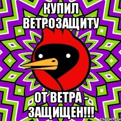 купил ветрозащиту от ветра - защищен!!!, Мем Омская птица