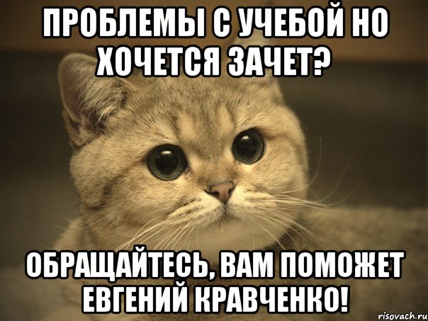 проблемы с учебой но хочется зачет? обращайтесь, вам поможет евгений кравченко!, Мем Пидрила ебаная котик