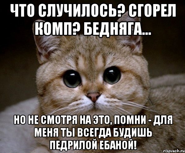 что случилось? сгорел комп? бедняга... но не смотря на это, помни - для меня ты всегда будишь педрилой ебаной!, Мем Пидрила Ебаная