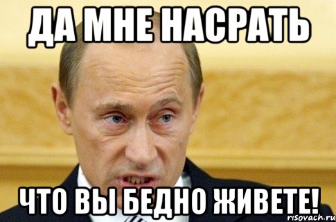 да мне насрать что вы бедно живете!, Мем путин