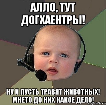 алло, тут догхаентры! ну и пусть травят животных! мнето до них какое дело!