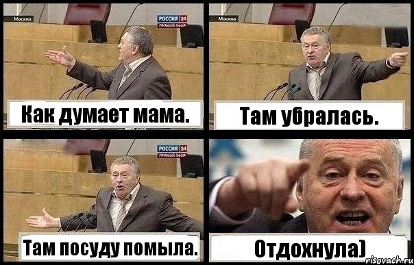 Как думает мама. Там убралась. Там посуду помыла. Отдохнула), Комикс с Жириновским