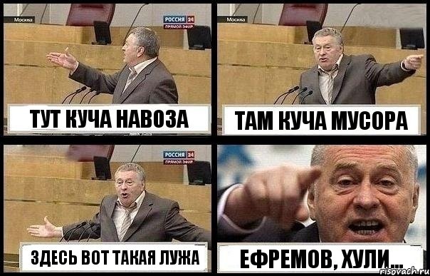 ТУТ КУЧА НАВОЗА ТАМ КУЧА МУСОРА ЗДЕСЬ ВОТ ТАКАЯ ЛУЖА ЕФРЕМОВ, ХУЛИ..., Комикс с Жириновским