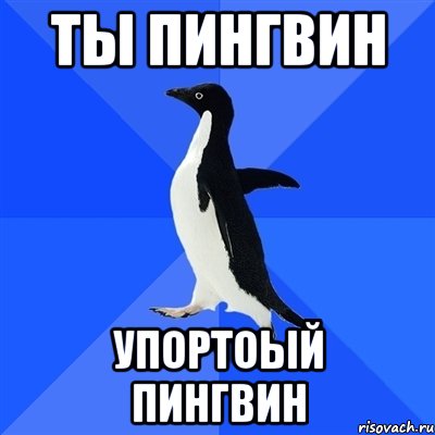 Песня про пингвинов мем. Ты Пингвин. Мем с пингвином люблю тебя. Шпили вили Мем Пингвин. Гриша Пингвин ты хороший.