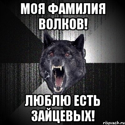 Подскажи немножко. Фамилия Волков. Фамилия волк. Волчьи фамилии. Происхождение фамилии Волков.