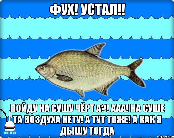 фух! устал!! пойду на сушу чёрт а?! ааа! на суше та воздуха нету! а тут тоже! а как я дышу тогда, Мем Тупичный лещ