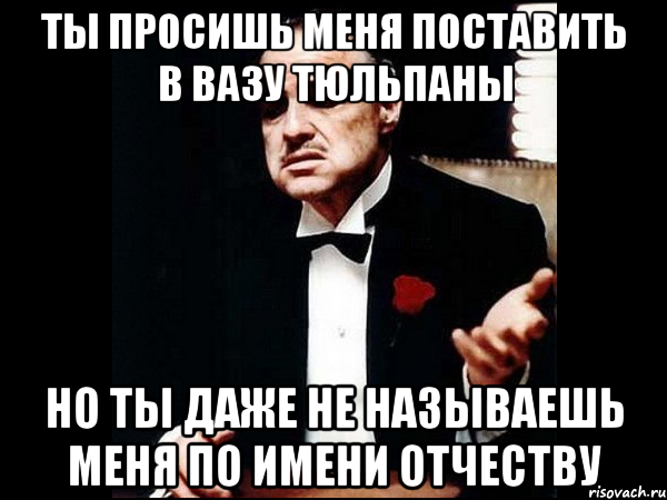 ты просишь меня поставить в вазу тюльпаны но ты даже не называешь меня по имени отчеству, Мем ты делаешь это без уважения