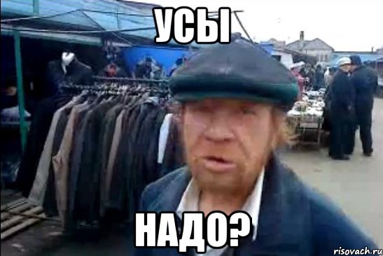 усы надо?, Мем виталик