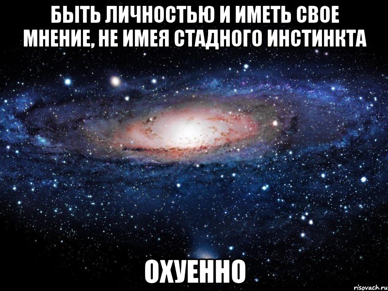 быть личностью и иметь свое мнение, не имея стадного инстинкта охуенно, Мем Вселенная