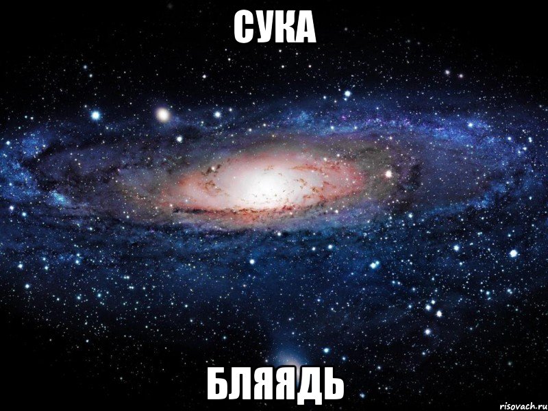 сука бляядь, Мем Вселенная