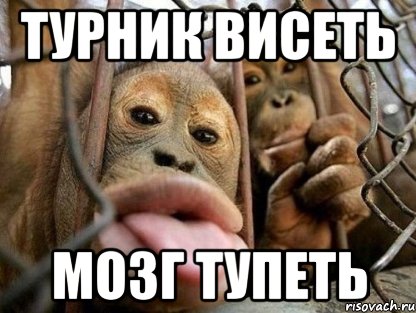 турник висеть мозг тупеть, Мем ыыыы