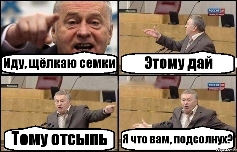 Иду, щёлкаю семки Этому дай Тому отсыпь Я что вам, подсолнух?, Комикс Жириновский