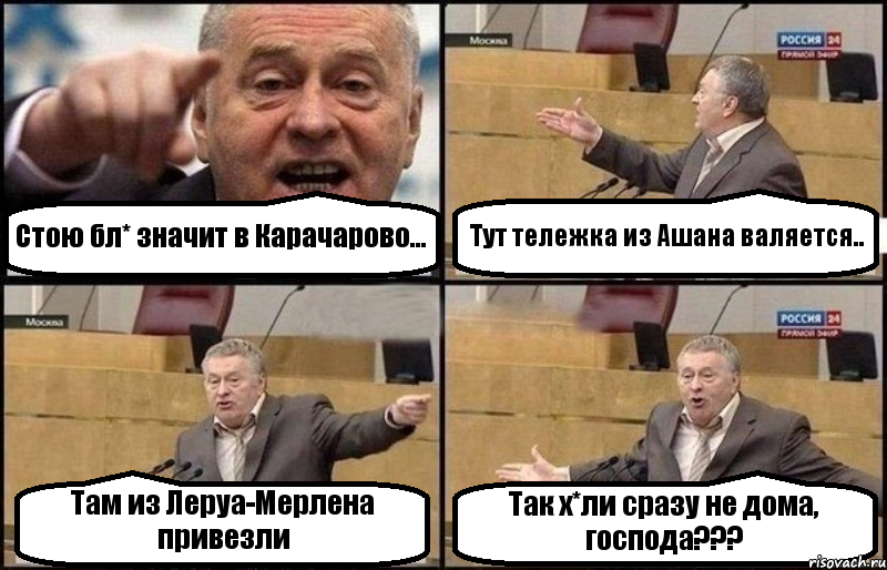 Стою бл* значит в Карачарово... Тут тележка из Ашана валяется.. Там из Леруа-Мерлена привезли Так х*ли сразу не дома, господа???, Комикс Жириновский