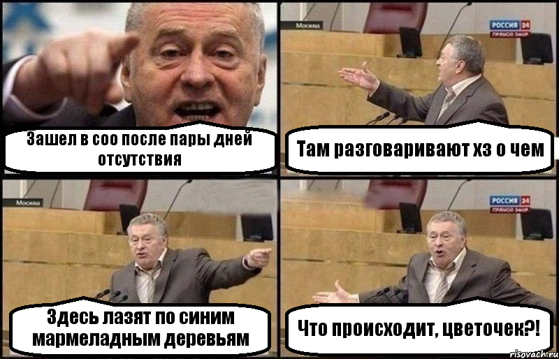 Зашел в соо после пары дней отсутствия Там разговаривают хз о чем Здесь лазят по синим мармеладным деревьям Что происходит, цветочек?!, Комикс Жириновский